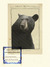 An_co_2010_ursus buchanani_tiny